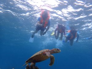 Janet feels the pressure of being a working mother because of her hectic work life. Therefore, she tries her best to spend the weekends with her daughter and travels with her family during long holidays so that they can enjoy family life together.