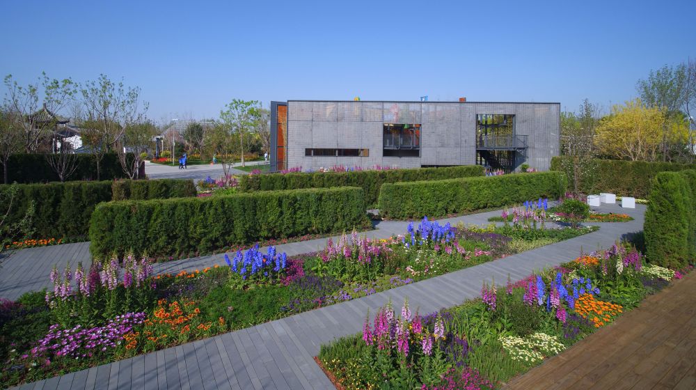 The team has used Junipers, which are about as tall as an average person, as hedges to separate spaces in order to create the feeling of a secret garden.