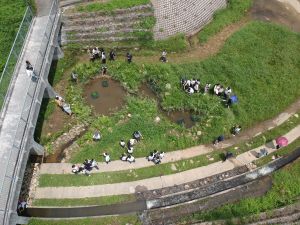 Pictured is Kwan Tei River after rehabilitation of the natural habitat.