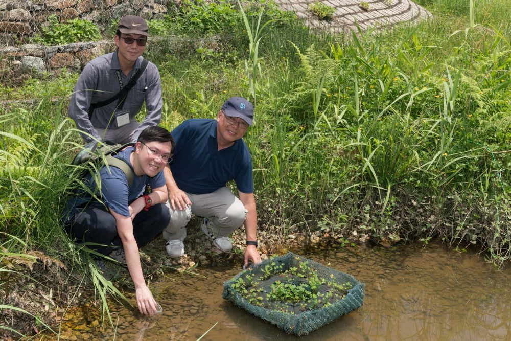 Engineer of the DSD, Mr. Keith TAM (front row, right) and Chairman of the Firefly Conservation Foundation, Mr. MAK Siu-fung, Mark (front row, left) release the aquatic fireflies, Aquatica ficta, to the water.