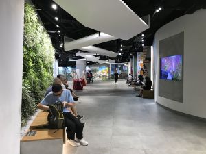 Many citizens relaxing, watching television or enjoying free Wi-Fi service in H6 CONET.