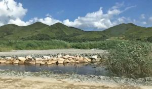 The reed marsh in the Loop and the existing flight line corridor of birds will be the features of the habitats in the EA.