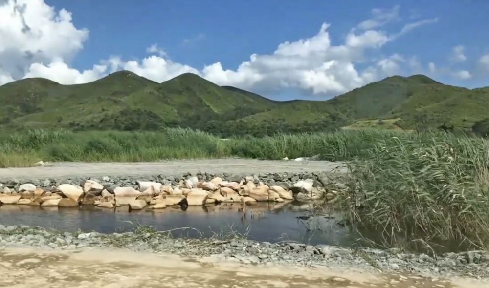 The reed marsh in the Loop and the existing flight line corridor of birds will be the features of the habitats in the EA.