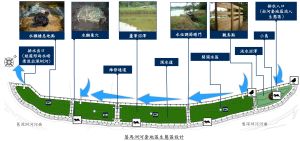 The EA will be divided into four reed cells and one freshwater marsh cell. A small island in the freshwater marsh cell will provide a variety of habitats with a view to attracting animals like birds and Eurasian otters to settle and breed there.