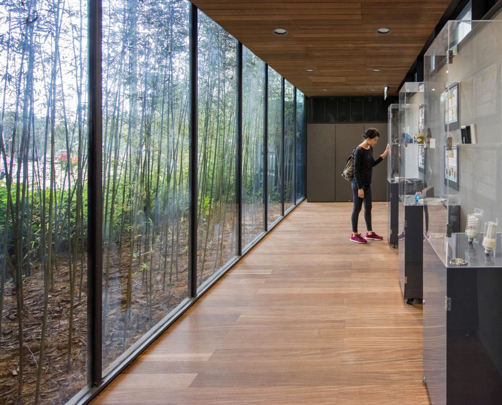 Different activity areas have been created in the Eastern CGS using old container modules painted with novel colours. The “outer skins” (i.e. the steel sheet on the sides) of some containers have been replaced with floor-to-ceiling glass panels to let in natural sunlight.