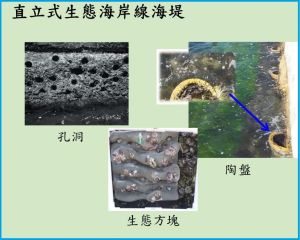 The vertical eco-shoreline will feature with pots, cavities and eco-tiles providing uneven surfaces for easy attachment and growth of marine organisms smaller in size.