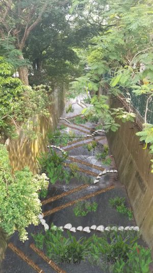 As the upstream of the Jordan Valley Nullah is rather secluded, the revitalisation project will mainly comprise introducing plants and organisms to the channel, and providing habitats such as ponds and fish ladders to enhance its ecological value. Pictured is the artist’s impression of the nullah after revitalisation.