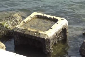 Various components for “eco-seawalls”, including ecological armouring units, oyster baskets, tidal pools and enhanced seawall panels, are being tested in this study. Pictured is an ecological armouring unit.