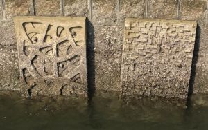 Pictured are enhanced seawall panels. Their uneven and rather rough surfaces can retain seawater and provide shade, facilitating the growth of microbial film and algae.