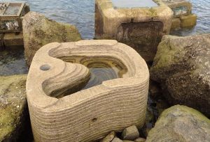 The pit at the centre of the tidal pool can retain seawater during low tides, which can prevent marine species from dying of dehydration due to long exposure to the sun.