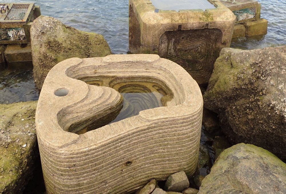 The pit at the centre of the tidal pool can retain seawater during low tides, which can prevent marine species from dying of dehydration due to long exposure to the sun.
