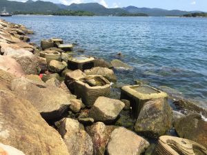 Pictured is the trial site near the Sai Kung Sewage Treatment Works, where researchers have placed ecological armouring units and tidal pools to evaluate their respective effectiveness in promoting marine ecology and biodiversity.
