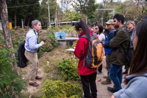 Overseas tree experts, local academics and industry practitioners go to the Victoria Park to understand our urban trees on site.