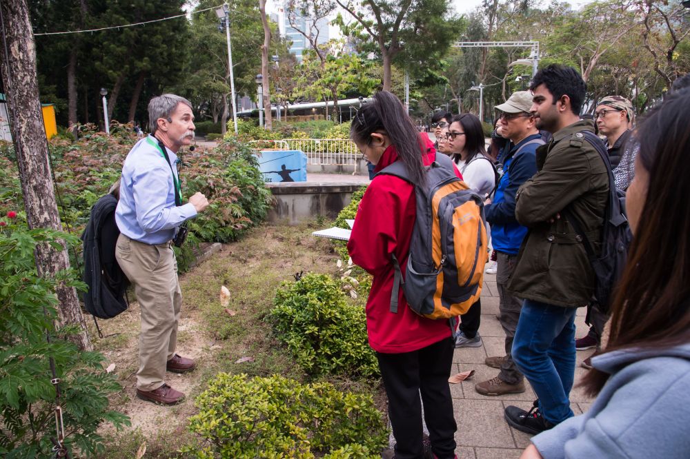 Overseas tree experts, local academics and industry practitioners go to the Victoria Park to understand our urban trees on site.