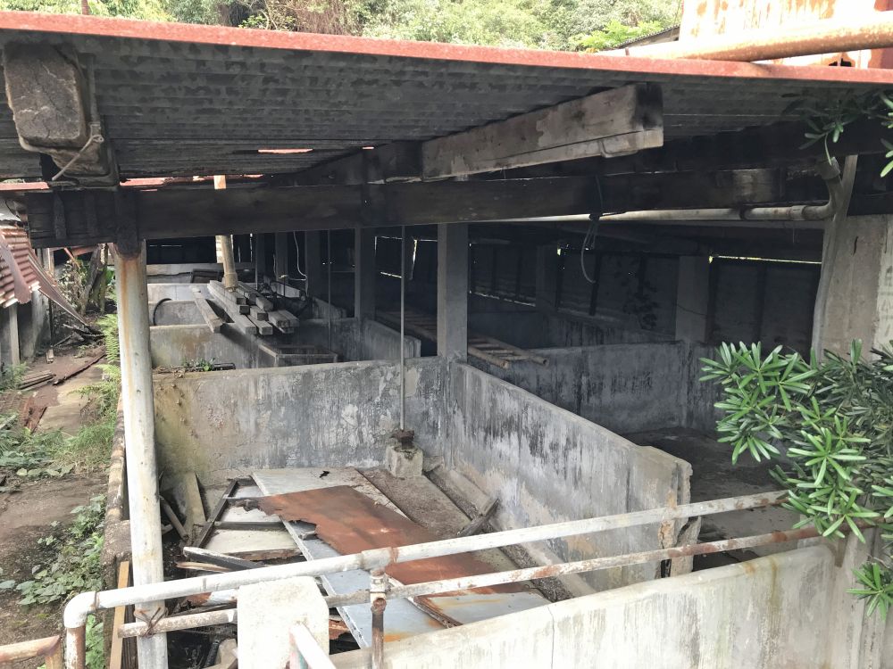 The inscription “KAAA”, found at the corners of many old stone houses and pig pens in Sham Shek Tsuen, indicates that the construction of the facilities was funded by the Kadoorie Agricultural Aid Association.