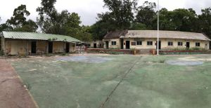 With an area of 24 500 square feet, the former Sam Wo Public School, which has been granted to the Hong Kong Seeing Eye Dogs Services for provision of a guide dog training school, is located in Ta Kwu Ling in North District. 