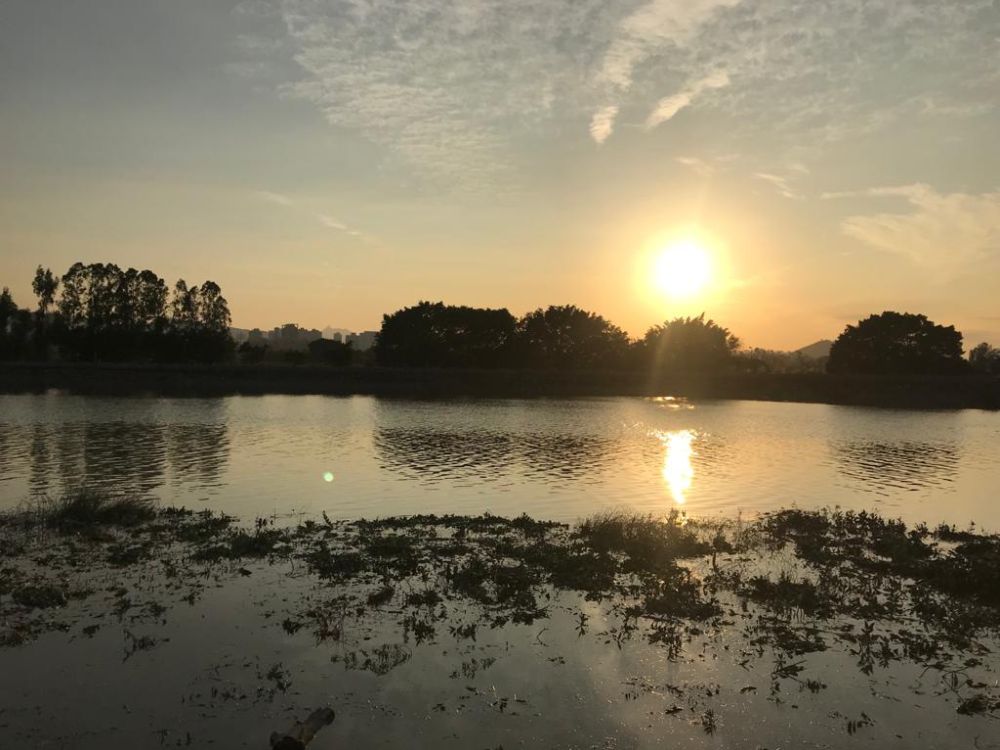 The CEDD designs the alignment of the cycle track passing along spots with beautiful scenery, such as the area by Kam Tin River in Yuen Long shown in the picture.
