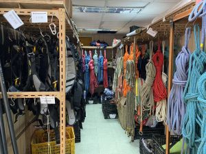 Students of arboriculture and horticulture courses will learn how to use different tools, and techniques on tree climbing, inspection and pruning, etc.