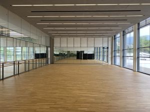 The Che Kung Temple Sports Centre provides a wide range of leisure and sports facilities including a multi-purpose arena, a table tennis room, a dance room, etc.