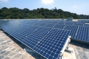 About 700 photovoltaic panels have been installed in the Tai Po WTW to generate about 200 000 kWh of electricity annually for on-site facilities.