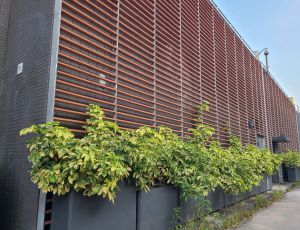 The Tai Po WTW makes good use of the sludge produced during the treatment process for on-site greening and planting.