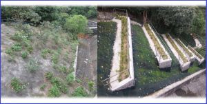 Picture shows the changes of the slope next to the dam of Kowloon Byewash Reservoir before and after the works. On the left of the picture is pre-construction situation, while on the right is post-construction situation.