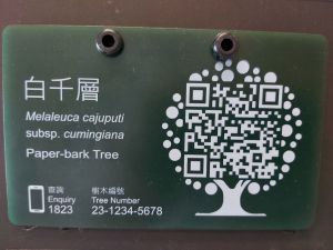 「樹牌」印有樹木的基本資料及二維條碼樹木標籤。