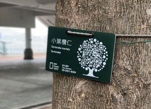 A tree tag bears the basic information and QR-coded label of the tree.