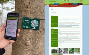手機掃描二維條碼後（圖左），會被引導到樹木管理部門的網站（圖右），讓市民可多角度了解有關的樹木，獲取更詳盡的資料。