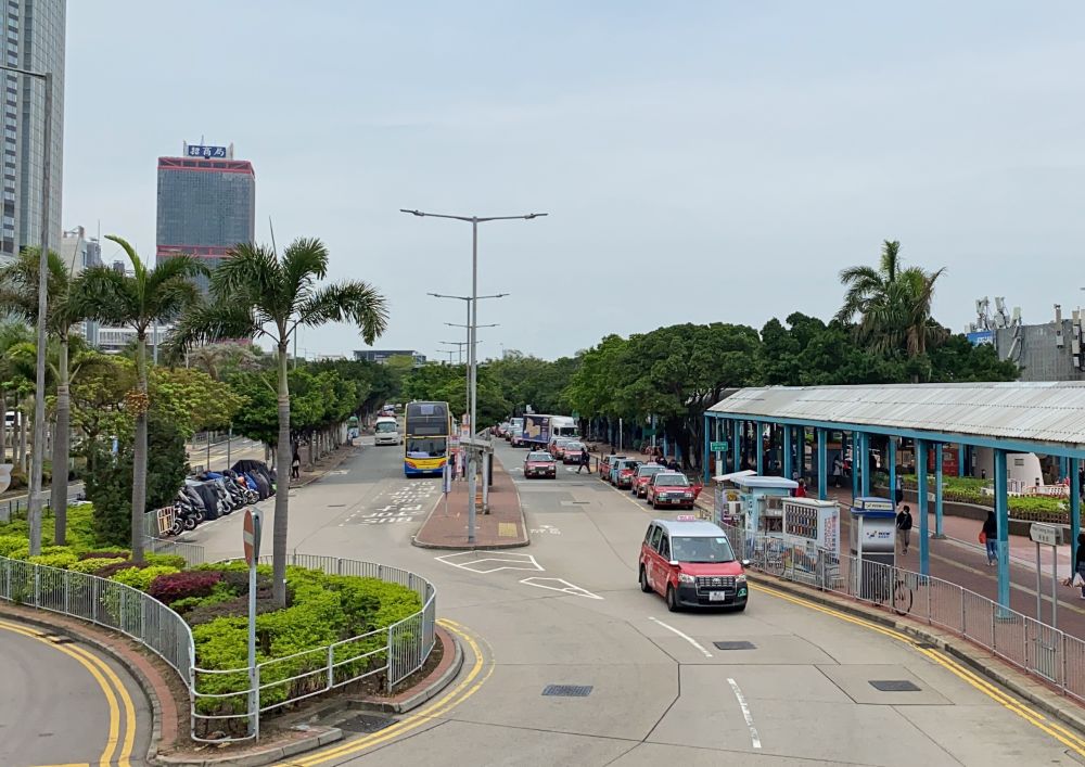 二維條碼樹木標籤計劃覆蓋全港，首階段涉及的樹木是位處人流較多的地點，包括中環碼頭一帶。