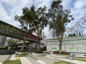 13 original trees are retained and shrubs and lawns are planted under the redevelopment project of the Sai Lau Kok Garden, creating an oasis in the downtown area of Tsuen Wan. 