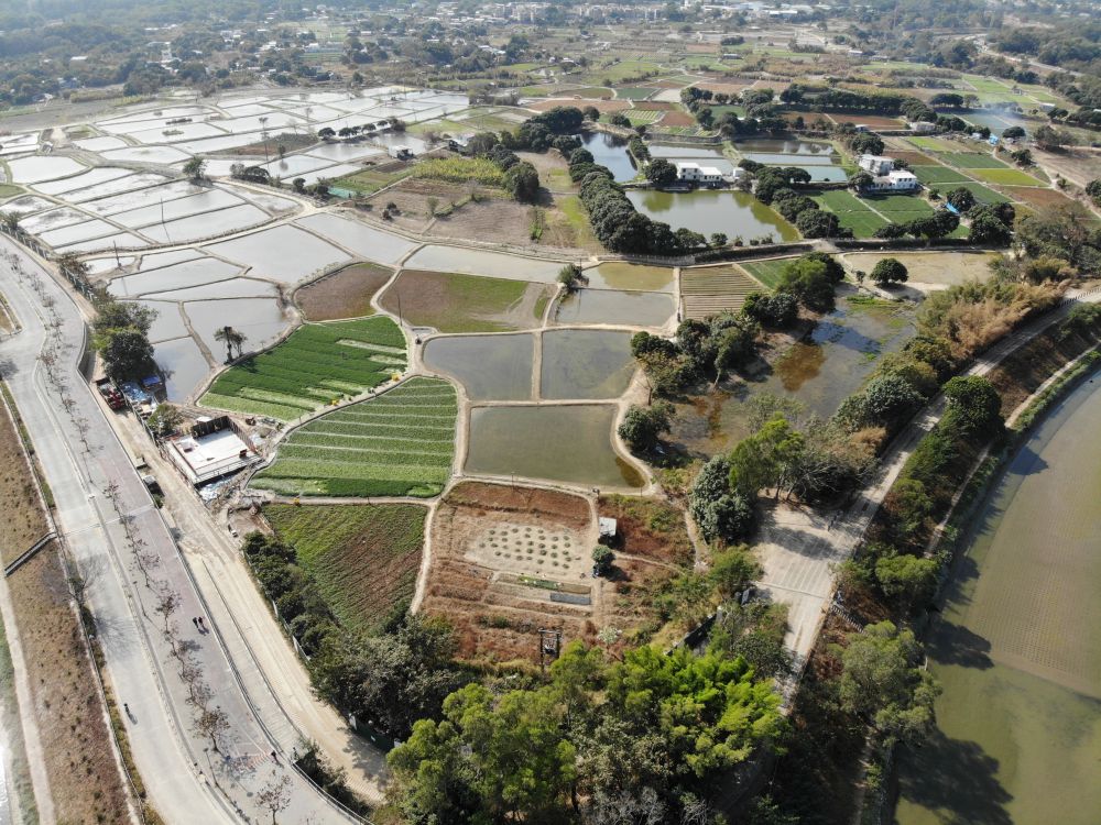 As part and parcel of the new development area project, some 37 hectares of land in Long Valley will be developed into a nature park for conserving and enhancing the ecologically important environment.