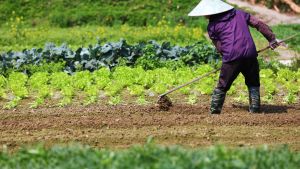 「農業區」會讓農民以生態友善的模式耕作。