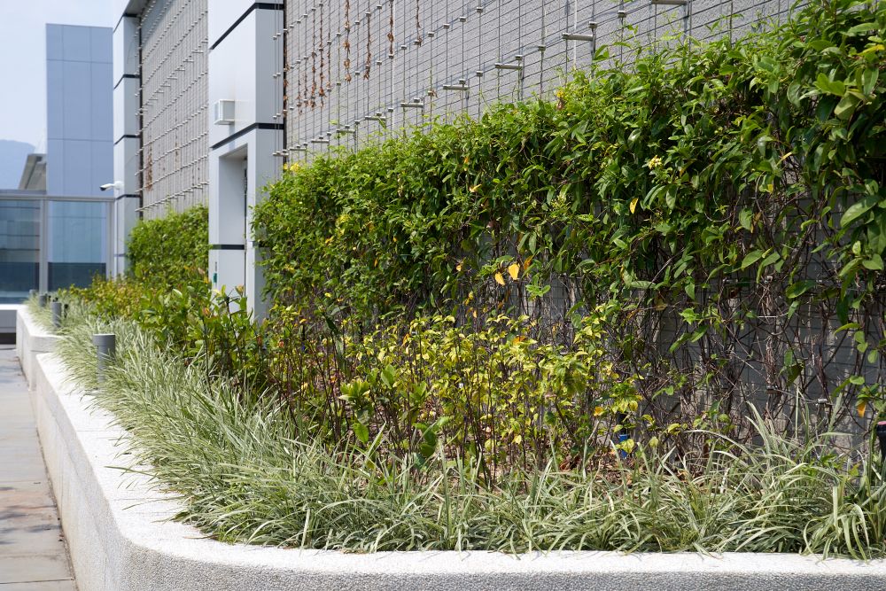 The HKCH has an overall greenery coverage of 40 percent, exceeding the minimum requirement of 30 percent for the Kai Tak Development Area.