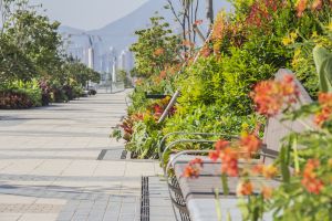 There are more than 80 species of plants in the garden. The central walkway is divided into four zones themed around spring, summer, autumn and winter respectively to show different colours of the four seasons.