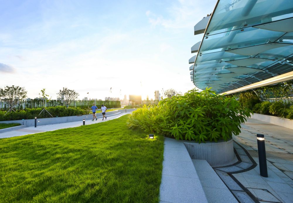 The sky garden features three plazas with unique characteristics, namely the Garden Plaza, the Lawn Plaza and the Fountain Plaza. Pictured is the Lawn Plaza.