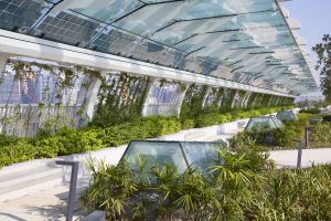 The sky garden has incorporated many environmentally friendly elements, including the solar panels on the glass canopy and the skylights on the ground. The former generates electricity for the lighting facilities at the garden, while the latter lets natural light penetrate to the carriageway underneath the garden.