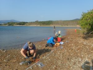 To minimise the impact on marine ecology in the area, CEDD has engaged fish specialists to further study and design mitigation measures for marine ecology, such as conducting detailed ecological surveys and identifying suitable reception sites.