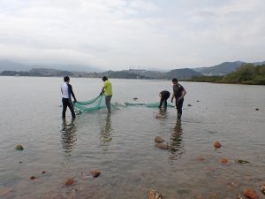 To minimise the impact on marine ecology in the area, CEDD has engaged fish specialists to further study and design mitigation measures for marine ecology, such as conducting detailed ecological surveys and identifying suitable reception sites.