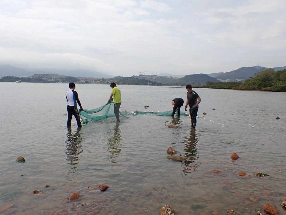 To minimise the impact on marine ecology in the area, CEDD has engaged fish specialists to further study and design mitigation measures for marine ecology, such as conducting detailed ecological surveys and identifying suitable reception sites.
