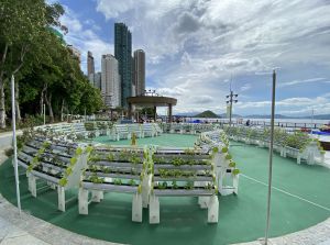 The community garden operated by K-Farm at the open space adjacent to the promenade to promote wholistic health and inclusiveness in community.