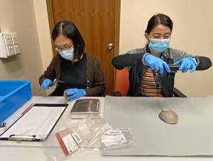 After receiving an artefact, colleagues of AMO would record information such as its condition and dimensions, and taking pictures from different angles for record.