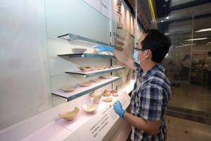 AMO colleagues carefully put the artefacts into the display cabinet.