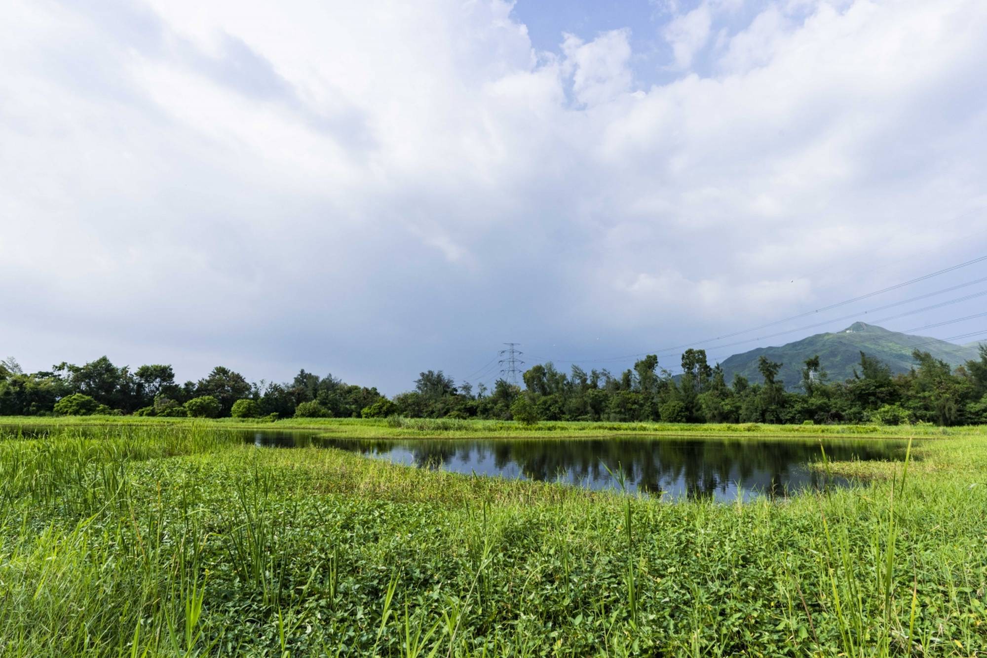 Pictured is the engineered wetland of Yuen Long Bypass Floodway.