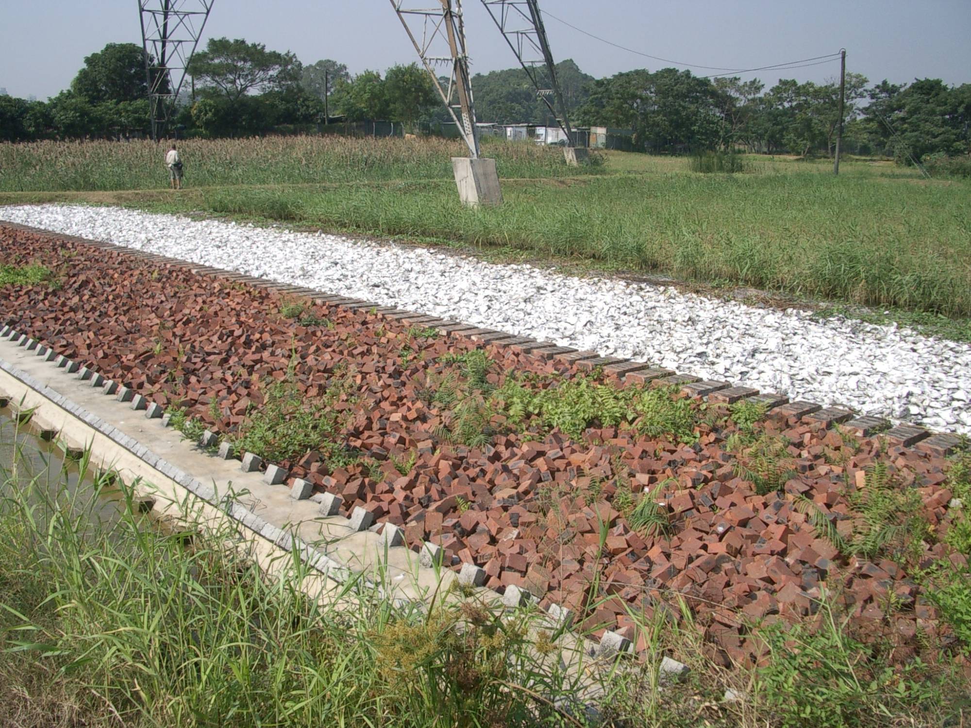 Before flowing into the engineered wetland, the dry weather flow of Yuen Long Bypass Floodway will first pass through the oyster shell pond, crushed brick and reed bed in the wetland for natural filtration and purification.