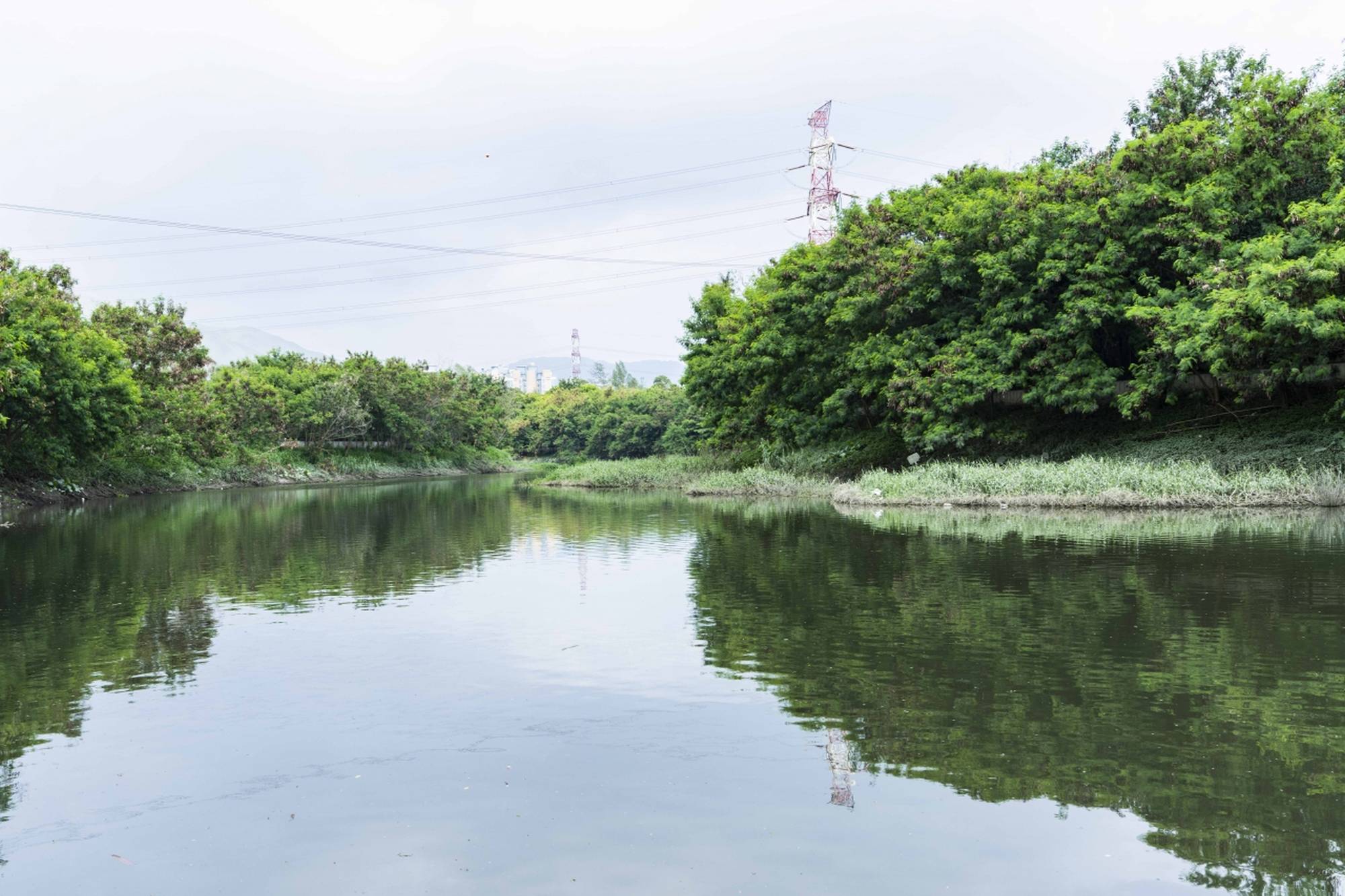 The shallow pond of Yuen Long Bypass Floodway.