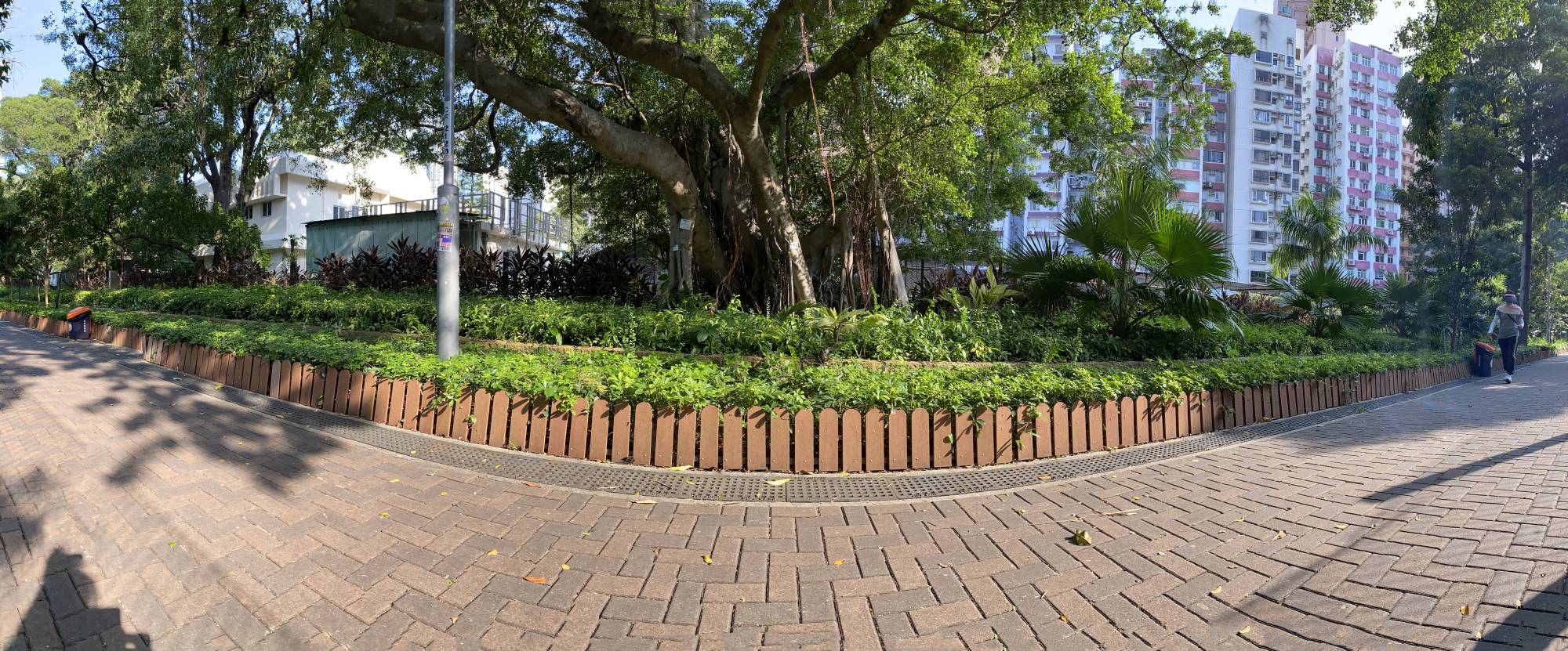 The Yau Mong District Study proposes that the existing covered nullah at Flower Street Path be reopened and converted into a waterway which will be extended across Prince Edward Road West to Nathan Road.