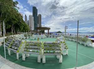 The K-Farm is the first community garden in Hong Kong which has incorporated hydroponics, aquaponics and organic farming systems. At present, the farm has commenced operation after the smooth completion of the works.