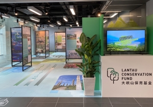 The first round of approved projects under the LCF was showcased at the City Gallery, Central earlier by the SLO. The exhibition has been moved to the Tung Chung Community Liaison Centre and is open until 31 March next year.