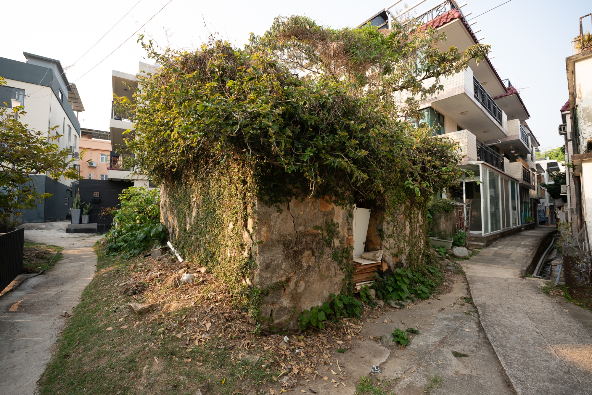 After restoration, a structure called Wo Liu in Shui Hau Village will be turned into an agricultural cooperative society that can be used to tell the story about Shui Hau.